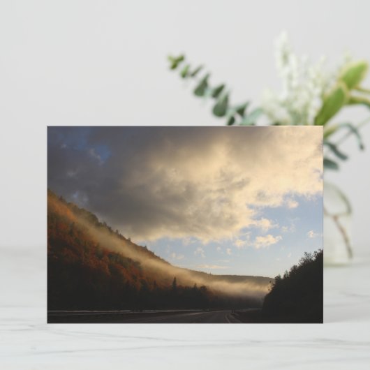 Foggy Colors (Standing Front)