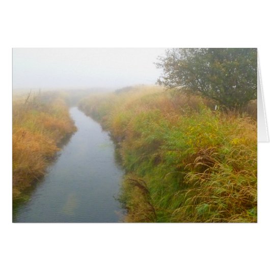Foggy creek 2 cards (Front Horizontal)