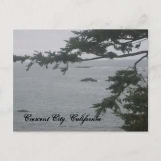 Foggy Day in Crescent City Postcard