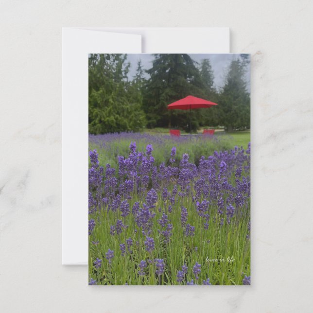 Foggy Day, Lavenders & Red Umbrella Note Card (Front)