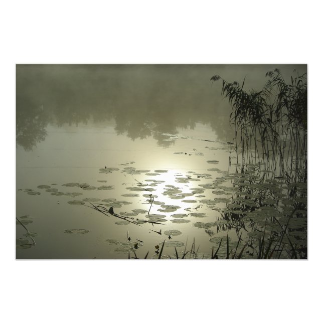Foggy day over the lake photo print (Front)