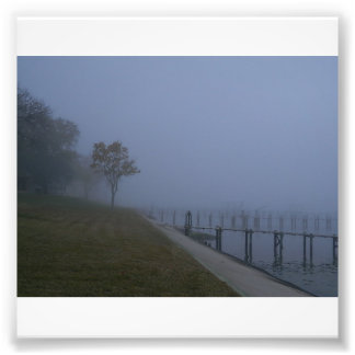 Foggy Day Tree Photo Print