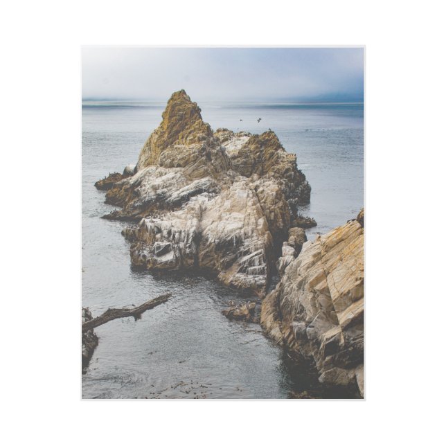 Foggy Evening at Point Lobos Gallery Wrap (Front)