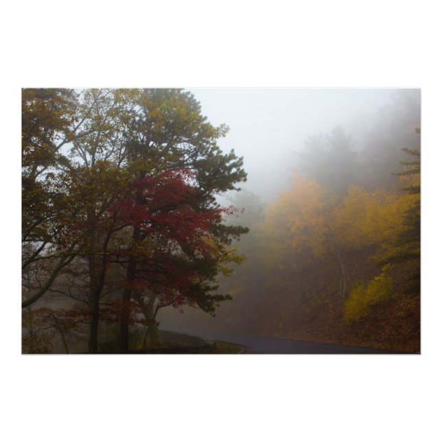 Foggy Fall colors on Skyline Drive, Virginia Photo Print (Front)