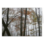 Foggy Fall in Pennsylvania Autumn Nature Cards