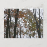 Foggy Fall in Pennsylvania Autumn Nature Postcard