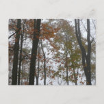 Foggy Fall in Pennsylvania Autumn Nature Postcard