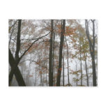 Foggy Fall in Pennsylvania Autumn Nature Postcard