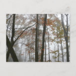Foggy Fall in Pennsylvania Autumn Nature Postcard