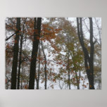 Foggy Fall in Pennsylvania Autumn Nature Poster