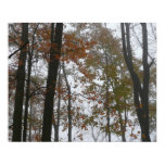 Foggy Fall in Pennsylvania Autumn Nature Poster