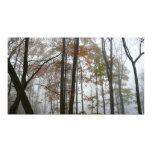 Foggy Fall in Pennsylvania Autumn Nature Poster