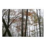 Foggy Fall in Pennsylvania Autumn Nature Poster