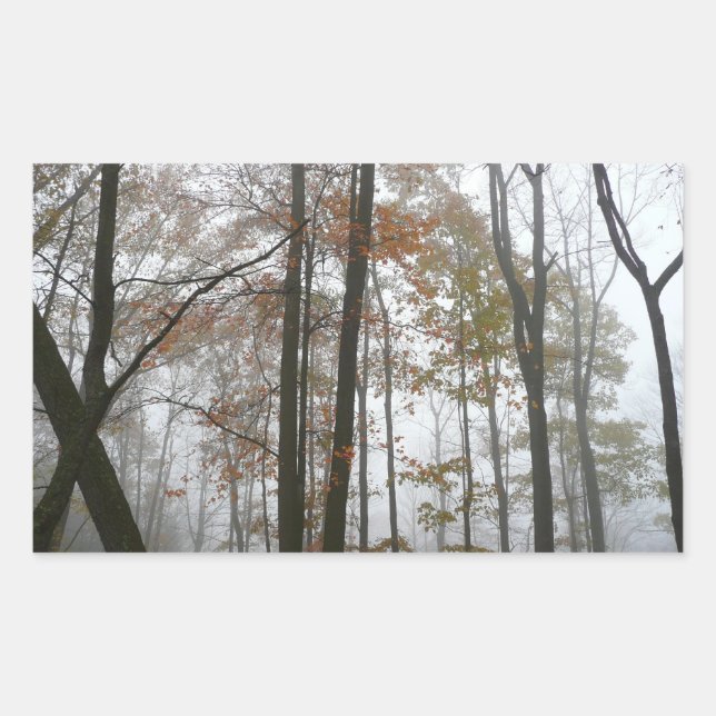 Foggy Fall in Pennsylvania Autumn Nature Rectangular Sticker (Front)