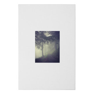 foggy forest faux canvas print