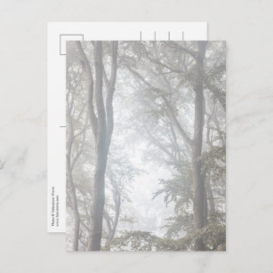 Foggy Forest Nature Photo Postcard