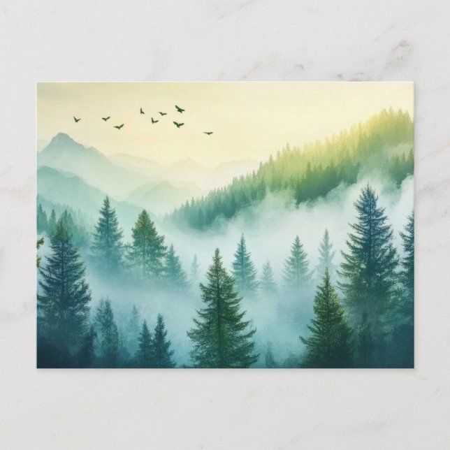 Foggy Forest Postcard (Front)