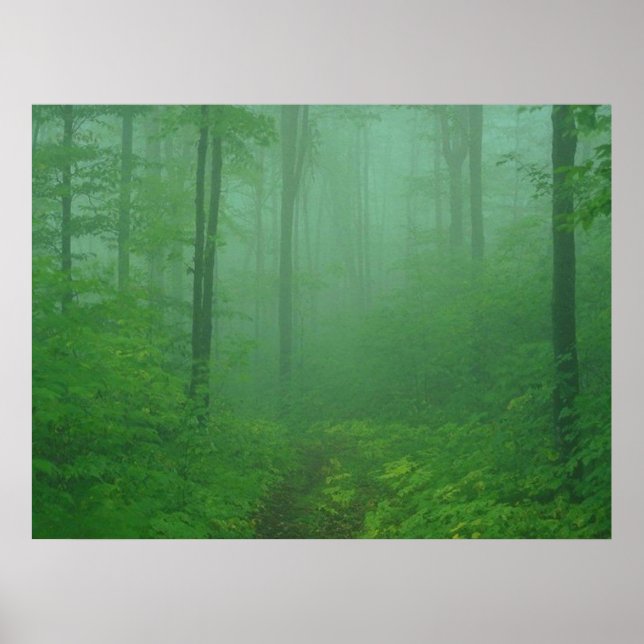 Foggy Forest Poster (Front)