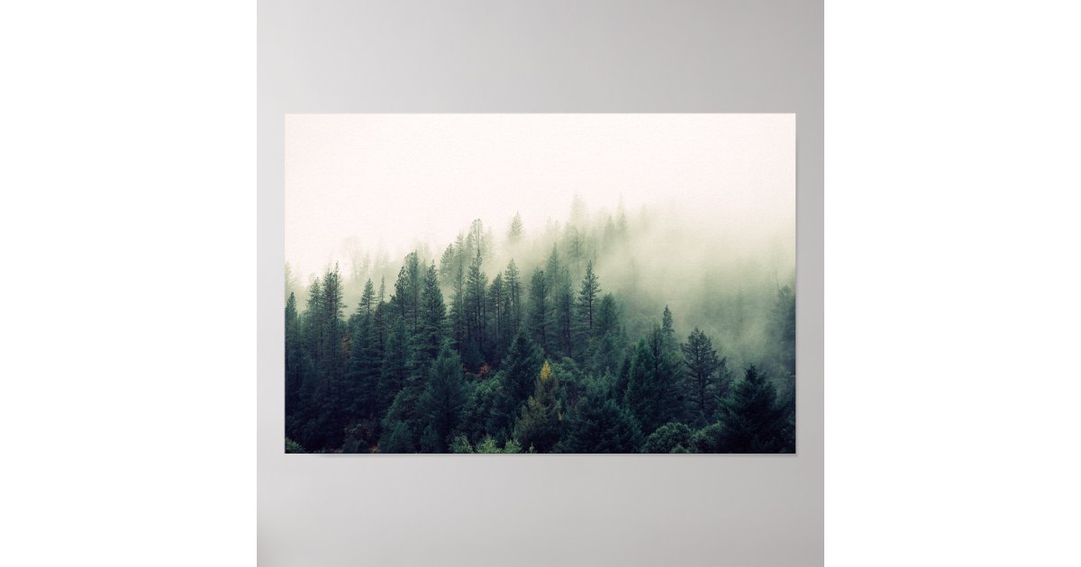 Foggy Forest Poster | Zazzle