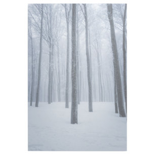 Foggy frozen winter forest gallery wrap