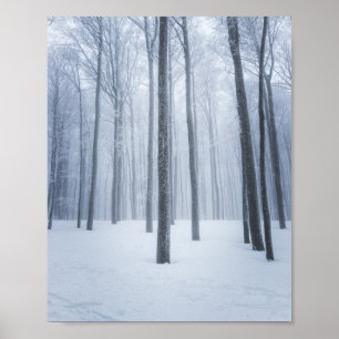 Foggy frozen winter forest poster