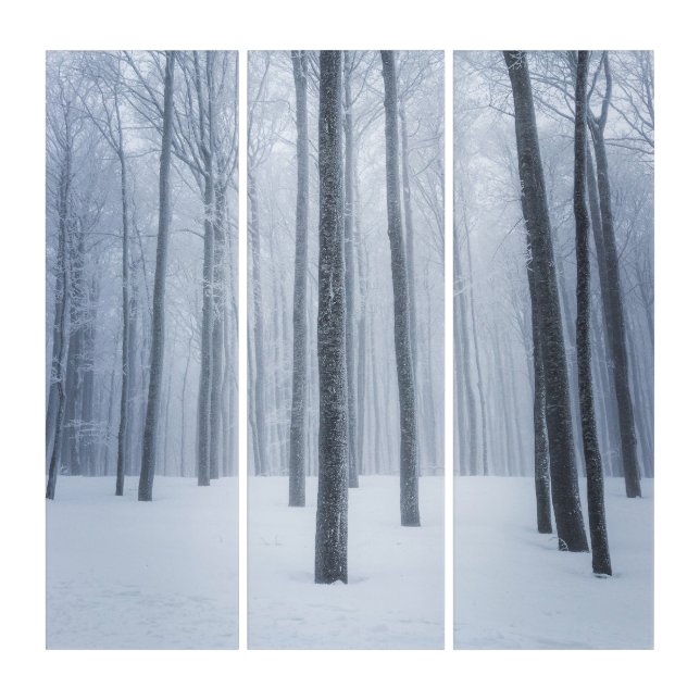 Foggy frozen winter forest triptych (Front)