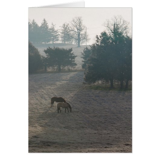 Foggy Grazing Cards (Front)