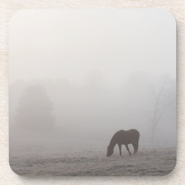 Foggy Grazing Coaster (Front)