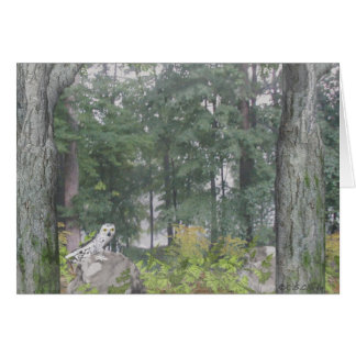 Foggy Lake Cards