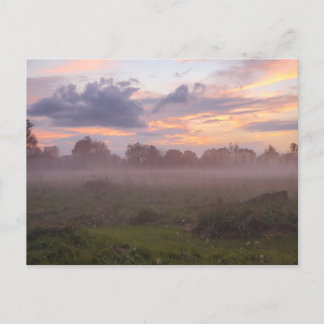 Foggy Michigan Sunset Postcard