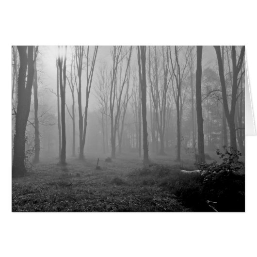 Foggy Morning Cards (Front Horizontal)