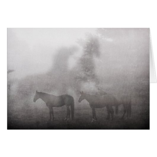 Foggy Morning Horse (Front Horizontal)