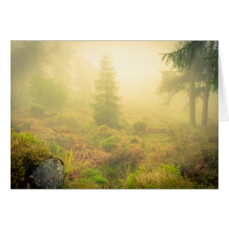 Foggy Morning in Wicklow Mountains Cards