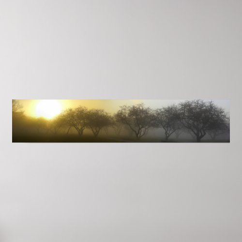 Foggy Morning Panoramic Poster