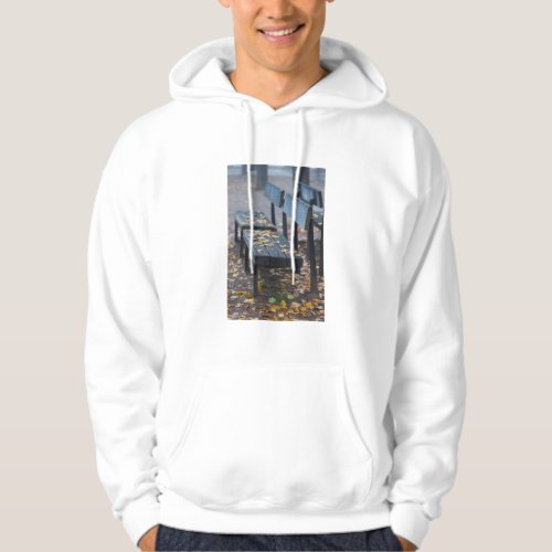 Foggy morning park bench Germany Hoodie