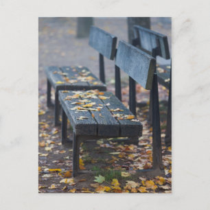 Foggy morning park bench, Germany Postcard