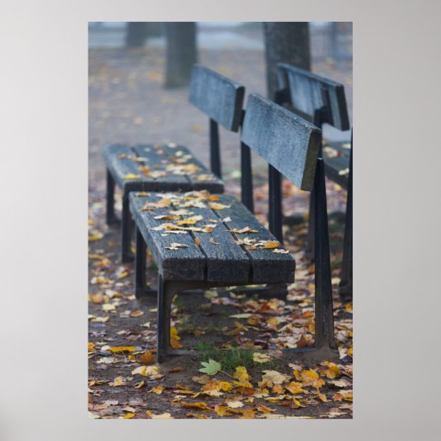 Foggy morning park bench, Germany Poster (Front)