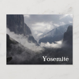 Foggy Morning Postcard