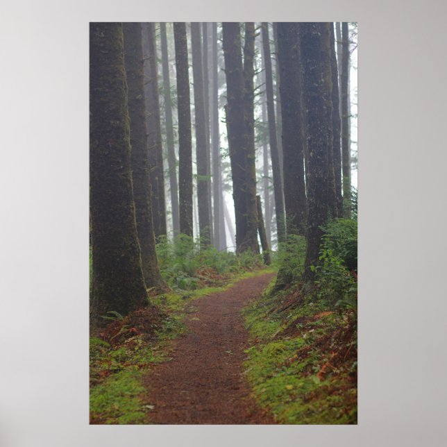 Foggy morning, (Semi-Gloss) Poster (Front)