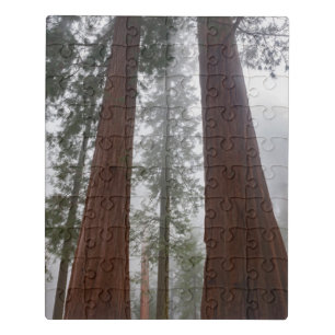 Foggy Morning & Spring Snow Under Giant Sequoia Jigsaw Puzzle