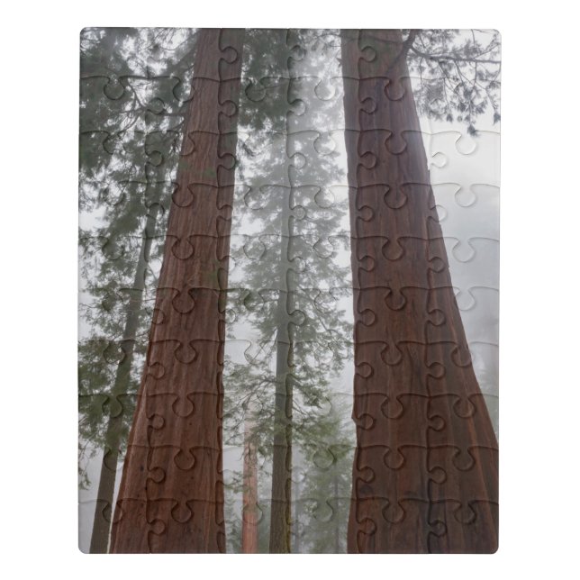 Foggy Morning & Spring Snow Under Giant Sequoia Jigsaw Puzzle (Puzzle Vertical)