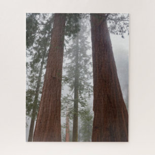 Foggy Morning & Spring Snow Under Giant Sequoia Jigsaw Puzzle