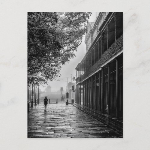 Foggy morning walk Jackson Square Postcard