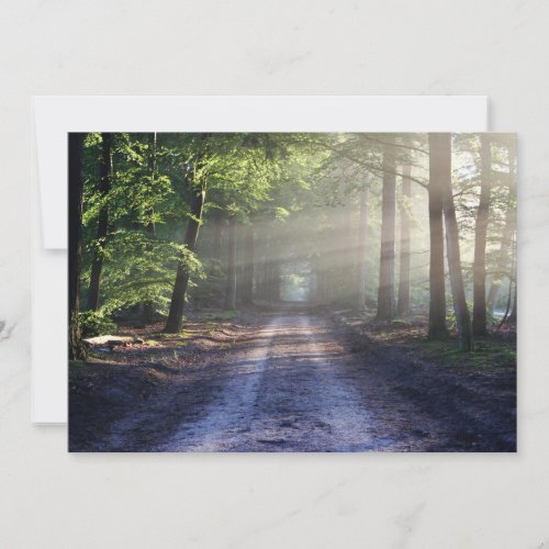 Foggy Mountain Forest Road in the Morning Sun Thank You Card