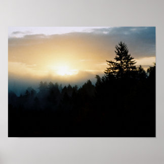 Foggy Northwest sunrise poster