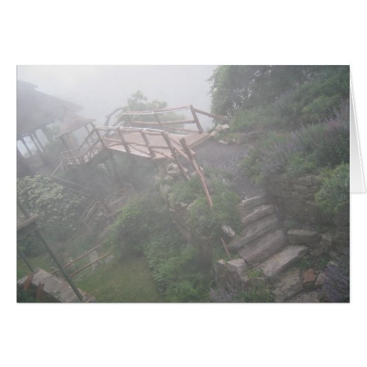 Foggy Path Cards (Front Horizontal)