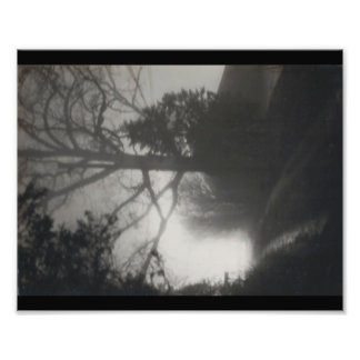 Foggy Path Photo Print