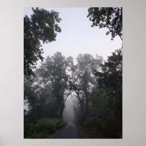 Foggy Path Through The Woods Photograph Poster