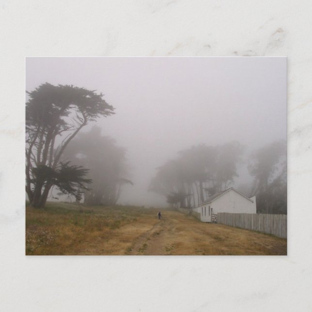 Foggy Point Reyes Postcard (Front)