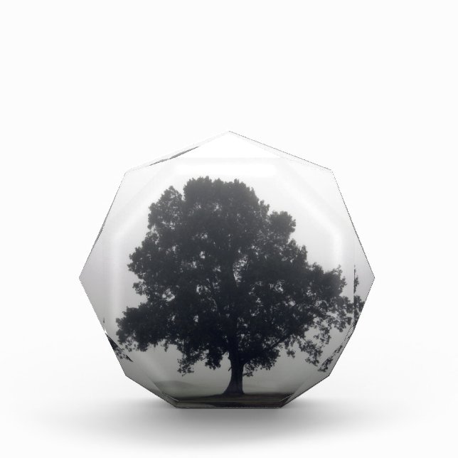 Foggy Tree Acrylic Award (Front)